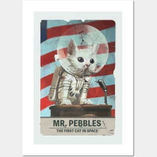 Mr. Pebbles - The First Cat In Space Posters and Art